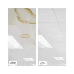 Ceiling Tiles<Armstrong CLEAN ROOM VL Square Lay-In Edge Ceiling Tile, 24" x 24", White, 12/Carton (BP868B)