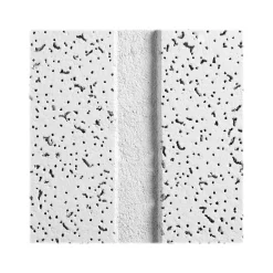 Ceiling Tiles<Armstrong CORTEGA Second Look Angled Tegular Edge Ceiling Tile, 24" x 48", White, 10/Carton (BP2776B)