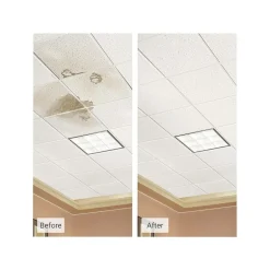 Ceiling Tiles<Armstrong CORTEGA Second Look Tegular Edge Ceiling Tile, 24" x 48", White, 10/Carton (BP2767D)