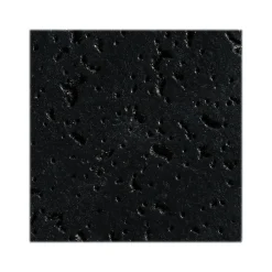 Ceiling Tiles<Armstrong CORTEGA Square Lay-In Edge Ceiling Tile, 24" x 48", Tech Black, 12/Carton (BP769ABL)