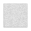 Ceiling Tiles<Armstrong CORTEGA Tegular Edge Ceiling Tile, 24" x 24", White, 16/Carton (BP704A)