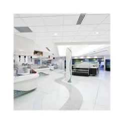 Ceiling Tiles<Armstrong DUNE Second Look Angled Tegular Edge Ceiling Tile, 24" x 48", White, 10/Carton (BP2711A)