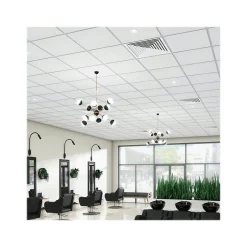 Ceiling Tiles<Armstrong DUNE Tegular Edge Ceiling Tile 15/16, 24" x 24", White, 16/Carton (BP1774)