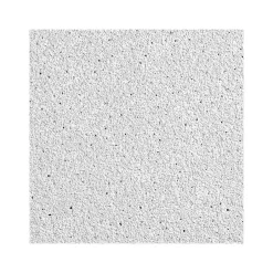 Ceiling Tiles<Armstrong DUNE Tegular Edge Ceiling Tile, 24" x 48", White, 8/Carton (BP1776A)