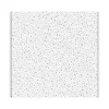Ceiling Tiles<Armstrong FINE FISSURED Angled Tegular Edge Ceiling Tile, 24" x 24", White, 12/Carton (BP1717)