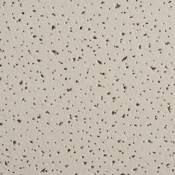 Ceiling Tiles<Armstrong FINE FISSURED Angled Tegular Edge Ceiling Tile, 24" x 24", Medium Taupe, 16/Carton (BP1732MT)