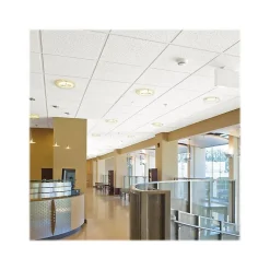 Ceiling Tiles<Armstrong FINE FISSURED Second Look II, Angled Tegular Edge Ceiling Tile 15/16, 24" x 48", White, 10/Carton (BP1760C)