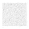 Ceiling Tiles<Armstrong FINE FISSURED Square Lay-In Edge Ceiling Tile, 24" x 24", White, 12/Carton (BP1713)