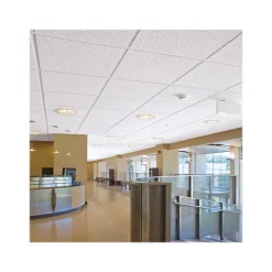Ceiling Tiles<Armstrong FINE FISSURED Second Look I, Angled Tegular Edge Ceiling Tile 15/16, 24" x 48", White, 10/Carton (BP1761C)