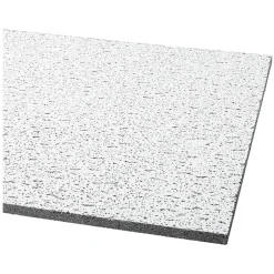 Ceiling Tiles<Armstrong FISSURED Square Lay-In Edge Ceiling Tile, 24" x 24", White, 16/Carton (BP756A)