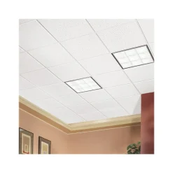 Ceiling Tiles<Armstrong FISSURED Square Lay-In Edge Ceiling Tile, 24" x 24", White, 16/Carton (BP756A)