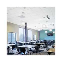 Ceiling Tiles<Armstrong GEORGIAN Beveled Tegular Edge Ceiling Tile, 24" x 24", White, 16/Carton (BP1752B)