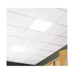Ceiling Tiles<Armstrong GEORGIAN Total Acoustics Square Edge Ceiling Tile, 24" x 48", White, 8/Carton (BP795)