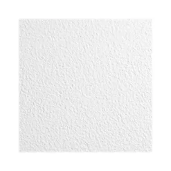 Ceiling Tiles<Armstrong KITCHEN ZONE Square Lay-In Edge Ceiling Tile, 24" x 24", White, 16/Carton (BP673)