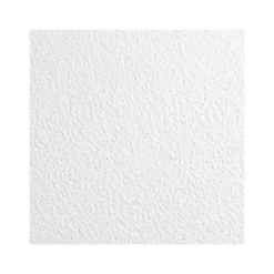Ceiling Tiles<Armstrong KITCHEN ZONE Square Lay-In Edge Ceiling Tile, 24" x 48", White, 12/Carton (BP672)