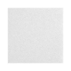 Ceiling Tiles<Armstrong LYRA Plant-Based Square Tegular Ceiling Tile 9/16, 24" x 48", White, 12/Carton (BP8357PB)