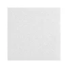 Ceiling Tiles<Armstrong LYRA Plant-Based Square Lay-In Ceiling Tile, 24" x 48", White, Dozen (BP8373PB)