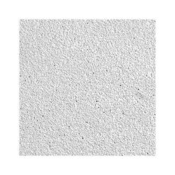 Ceiling Tiles<Armstrong MESA Beveled Tegular Edge Ceiling Tile, 24" x 24", White, 12/Carton (BP682)