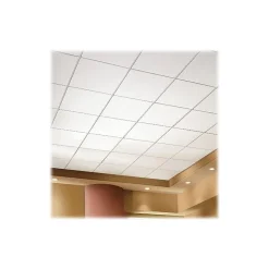 Ceiling Tiles<Armstrong OPTIMA Square Lay-In Edge Ceiling Tile, 24" x 24", White, 24/Carton (BP3152)