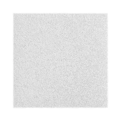 Ceiling Tiles<Armstrong OPTIMA Square Tegular Edge Ceiling Tile, 24" x 96", White, 6/Carton (BP3262A)