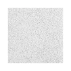 Ceiling Tiles<Armstrong OPTIMA Square Tegular Edge Ceiling Tile, 24" x 48", White, 12/Carton (BP3257A)
