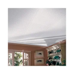 Ceiling Tiles<Armstrong RANDOM FISSURED Square Lay-In Edge Ceiling Tile, 24" x 48", White, 16/Carton (BP2911A)
