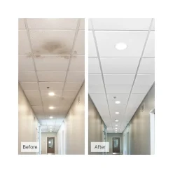 Ceiling Tiles<Armstrong ULTIMA Beveled Tegular Edge Ceiling Tile, 24" x 24", White, 12/Carton (BP1911A)