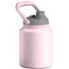 ASOBU Stainless Steel Insulated Mini Jug, 33 oz., Pink (NA-SJU3P)