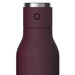 Water Bottles<ASOBU Stainless Steel Vacuum Insulated Water Bottle, 17 oz., Purple (ADNANABT60BURG)
