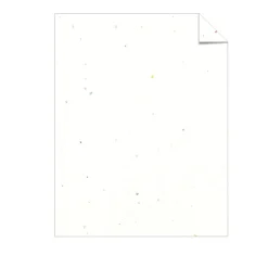 65 lb. Cardstock Paper, 8.5" x 11", Stardust White, 250 Sheets/Pack (21408/22401) Card Stock