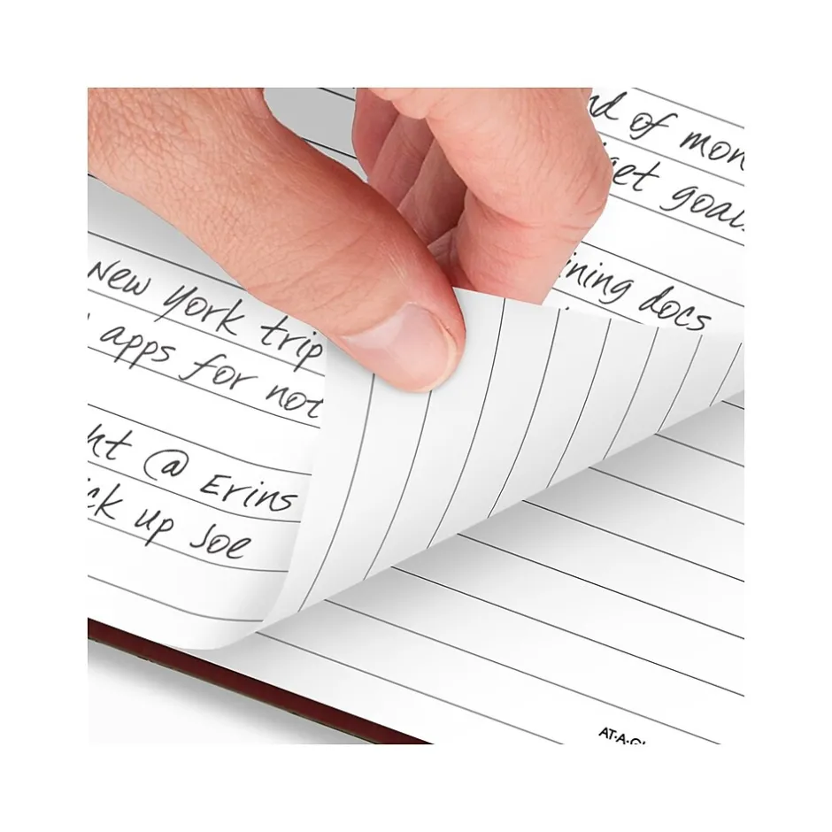 AT-A-GLANCE Standard Hardcover 2025 Daily Diary, 7.5" x 9.5", Ruled, Red (SD374-13-25) Best