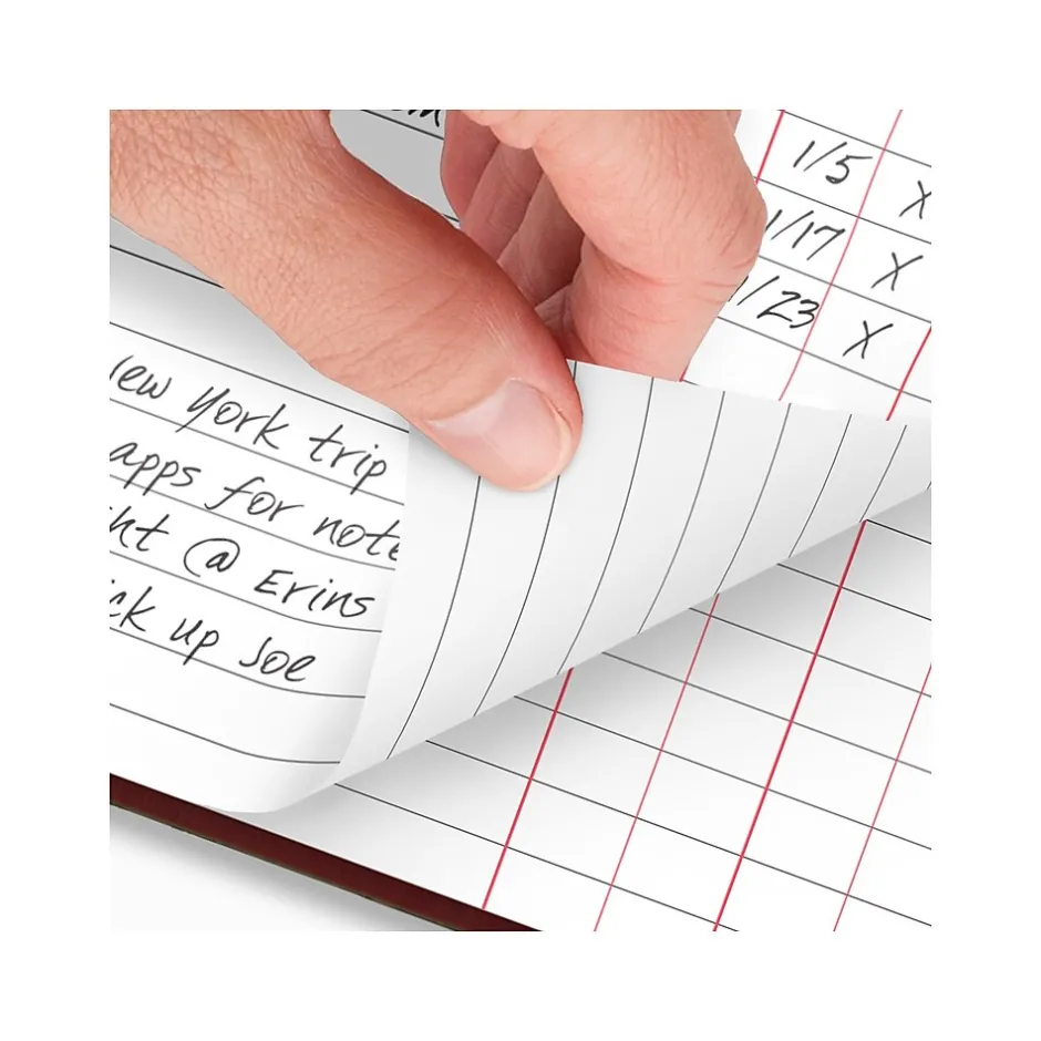 AT-A-GLANCE Standard Hardcover 2025 Daily Diary, 7.75" x 12", Ruled, Red (SD377-13-25) Hot