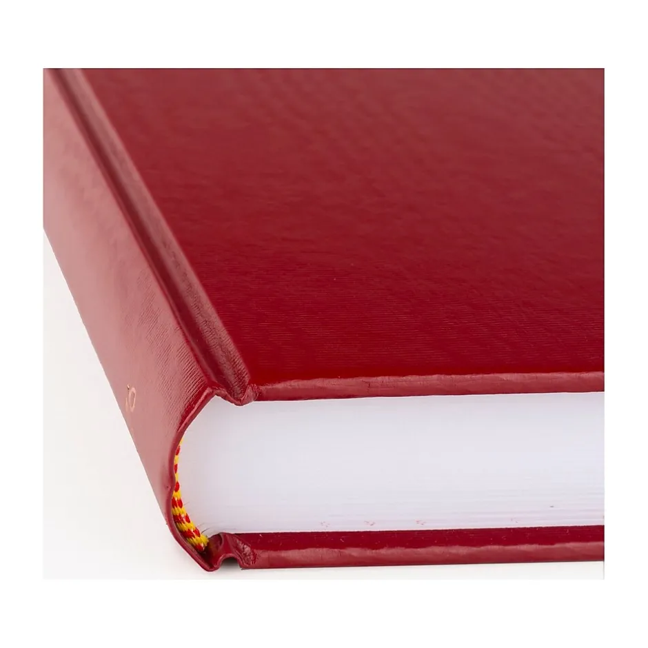 AT-A-GLANCE Standard Hardcover 2025 Daily Diary, 7.75" x 12", Ruled, Red (SD377-13-25) Hot