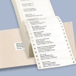 Avery Computer Labels, Dot Matrix Labels and Pin-Feed Labels, 15/16" x 3-1/2", White, 5,000 Labels/Pack (4013)* Shipping Labels