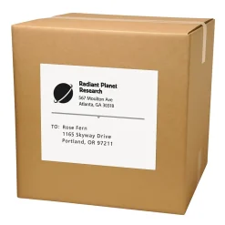 Avery Copier Shipping Labels, 8-1/2" x 11", White, 100 Labels/Box (5353)* Shipping Labels