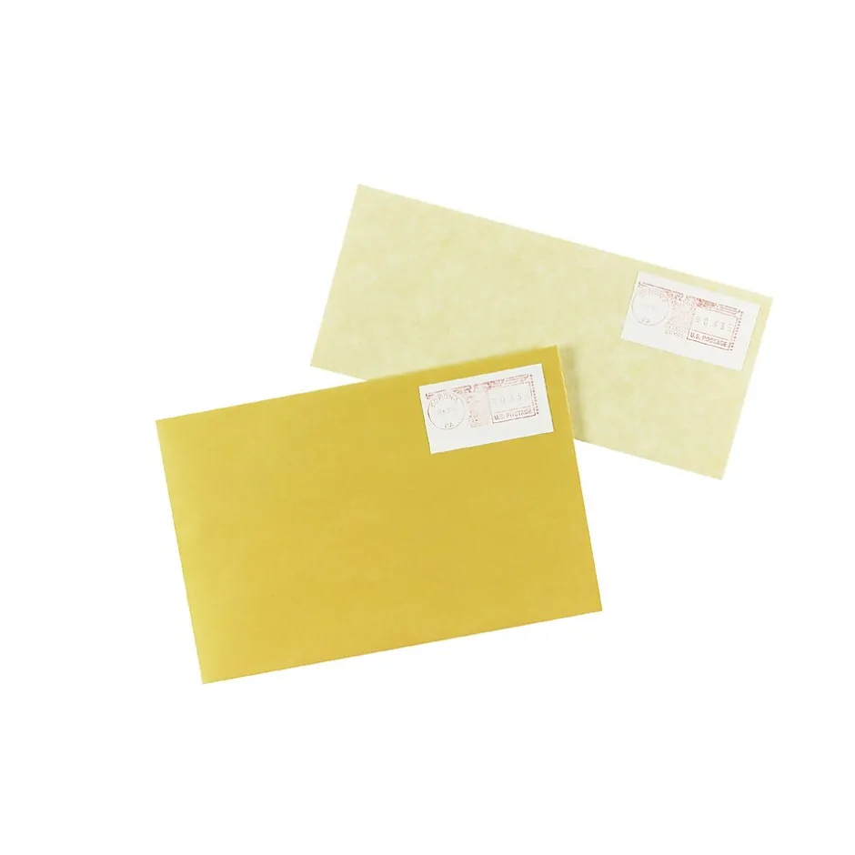 Avery Postage Meter Labels for Pitney Bowes Postage Machines, 1-1/2" x 2-3/4", White, 160 Labels/Pack (5288)* Shipping Labels