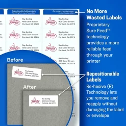 Avery Repositionable Laser Address Labels, 1" x 2-5/8", White, 3,000 Labels/Box (55160)* Address Labels
