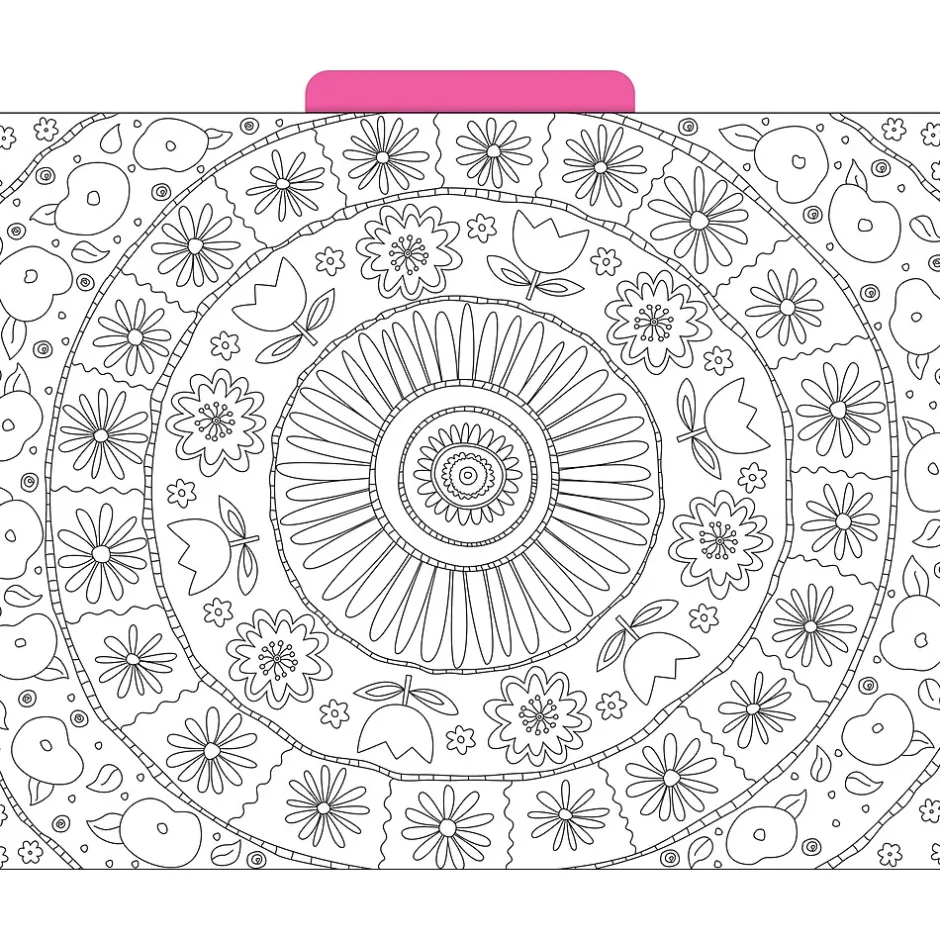 Barker Creek Color Me! File Folder Set, 1/3-Cut Tab, Letter Size, In My Garden, 12/Pack (2008) Sale