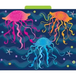 Barker Creek File Folder Set, 1/3-Cut Tab, Letter Size, Kai Ola, 12/Pack (2006)