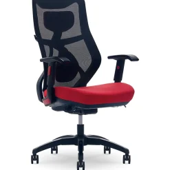 Duo-EX Ergonomic Mesh Swivel Computer Chair, (60051-) Ergonomic Chairs
