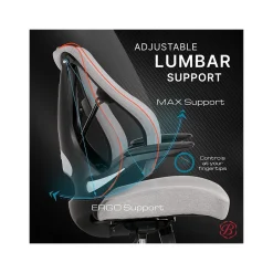 Best ErgoMax Ergonomic Mesh/Fabric Swivel Task Chair, (60078-Gry) Ergonomic Chairs