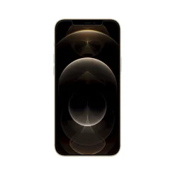 Belkin SCREENFORCE TemperedGlass Privacy Protector for iPhone 12 Pro Max (OVA031zz)