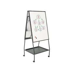 Wheasel Dry/Wet Erase Easel, 65