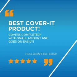 BIC Cover-it Correction Fluid, White (50367/WOC12-WHI) Outlet