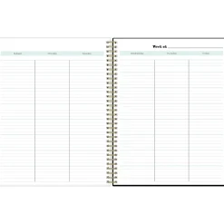 Blue Sky Dark Gray Gale 8.5