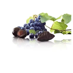 Chocolate<Brookside Dark Chocolate with Acai and Blueberry Flavors Candy, 7 oz, Resealable Bag (050929)