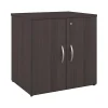 New Studio C 30" Storage Cabinet with 2 Shelves, Storm Gray (SCS130SG) Storage Cabinets