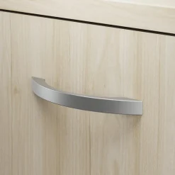 Clearance Bush Business Furniture Studio C 2 Drawer Lateral File Cabinet, Natural Elm (SCF136NESU) File Cabinets