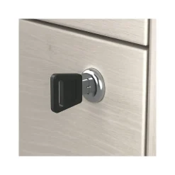 Hot Homestead 2-Drawer Lateral File Cabinet, Letter/Legal Size, Lockable, Linen White Oak (HOF129LW-Z) File Cabinets