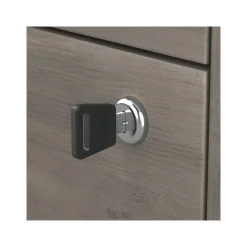 Homestead 2-Drawer Lateral File Cabinet, Letter/Legal Size, Lockable, Driftwood Gray (HOF129DG-Z) File Cabinets